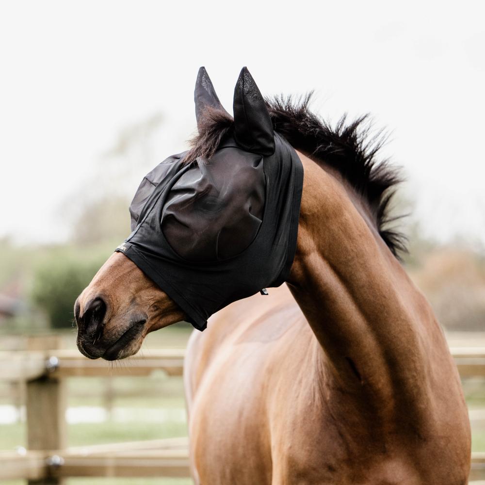 Fly Masks